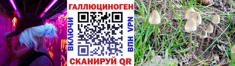 darknet формула  Александровск  Галлюциногенные грибы ЛСД 